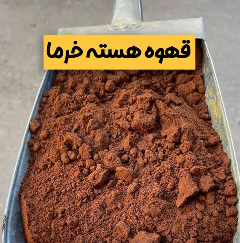 قهوه هسته خرما؛ نوشیدنی طبیعی بدون کافئین، خواص، طرز مصرف و راهنمای خرید