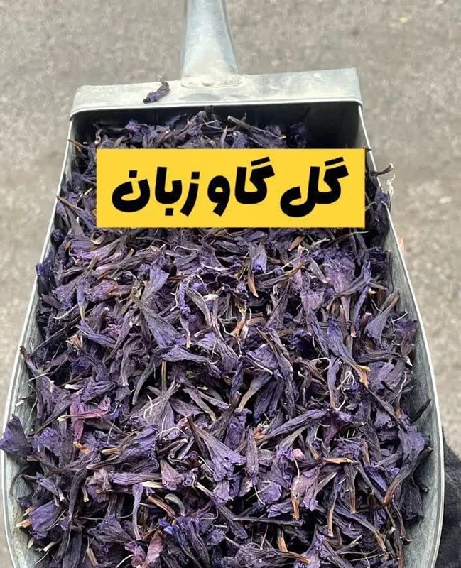 گل گاوزبان چیست؟ راهنمای خرید گل گاوزبان اصل، خواص، طریقه مصرف و موارد منع