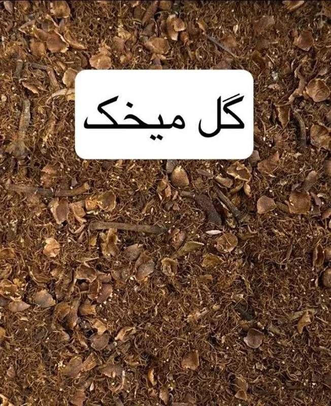 گل میخک چیست؟ راهنمای خرید میخک اصل، خواص، روش مصرف و تشخیص کیفیت