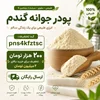 پودر جوانه گندم چیست و چرا این‌قدر پرطرفدار شده است؟