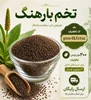 فرق تخم بارهنگ با اسفرزه چیست؟ مقایسه کامل ظاهر، بافت و کاربرد