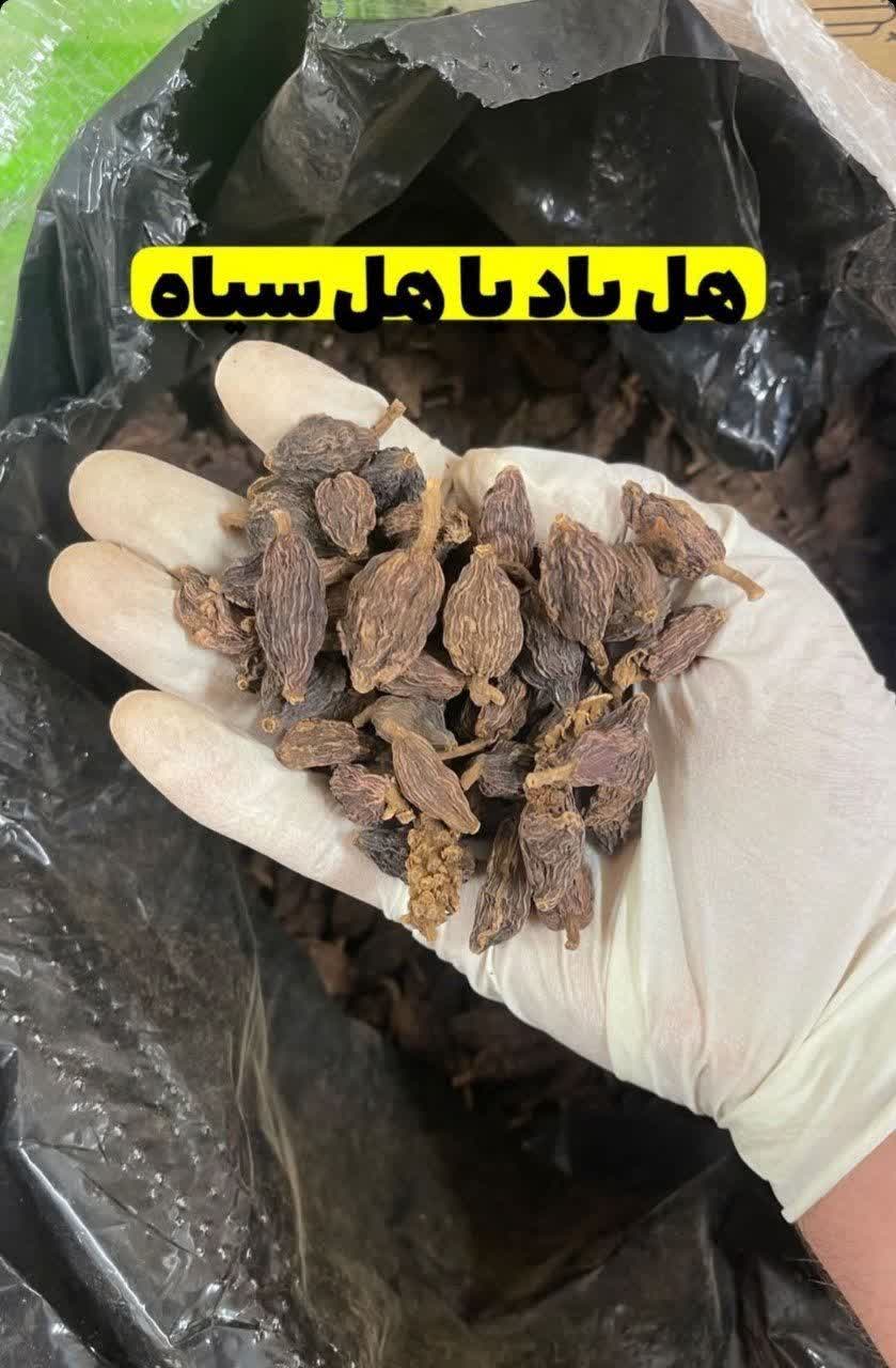 هل باد(۱کیلویی)،ارسال به سراسر کشور