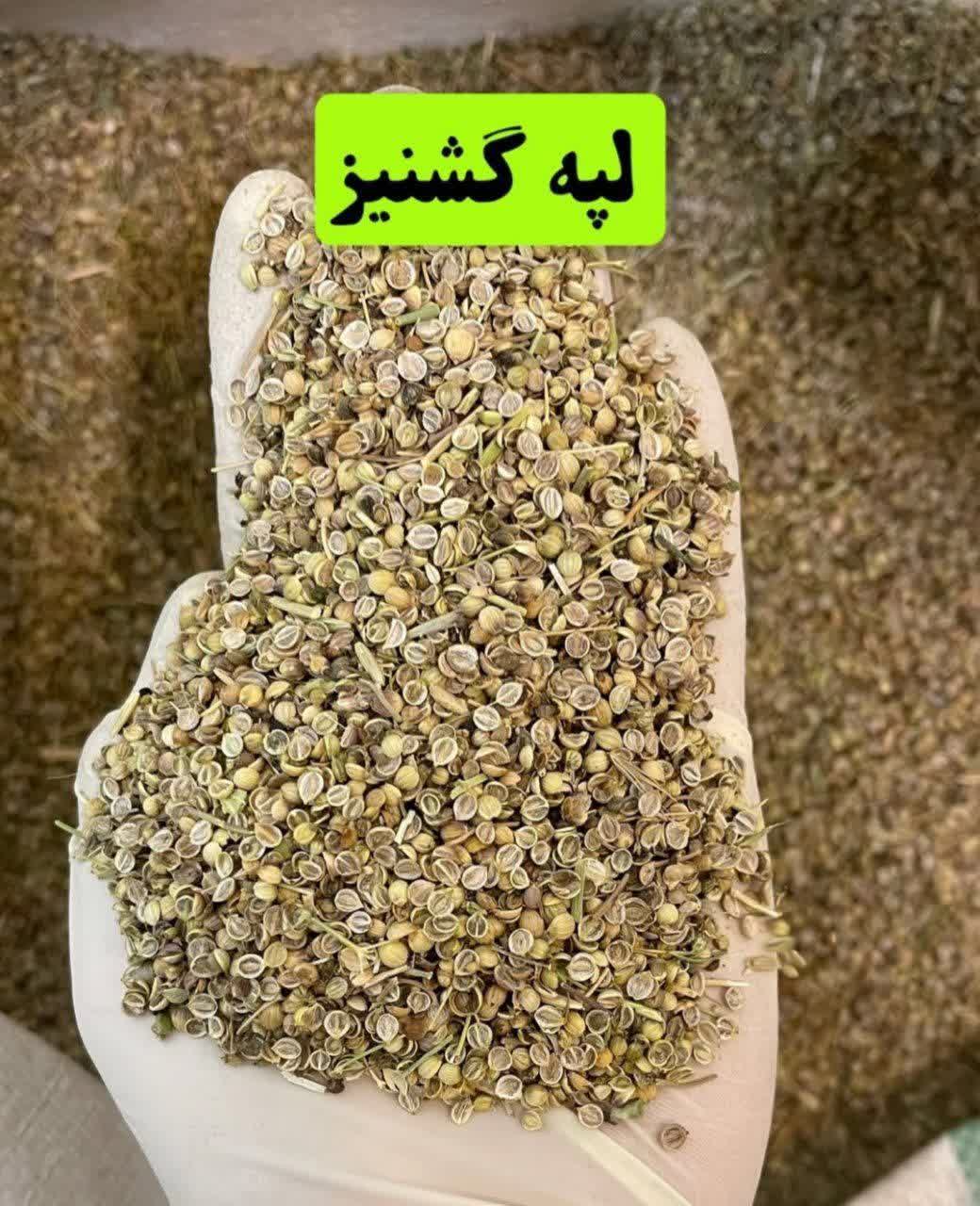 لپه گشنیز اصل – دانه گشنیز نیم‌کوب معطر و تازه(۱کیلویی)ارسال به سراسر کشور