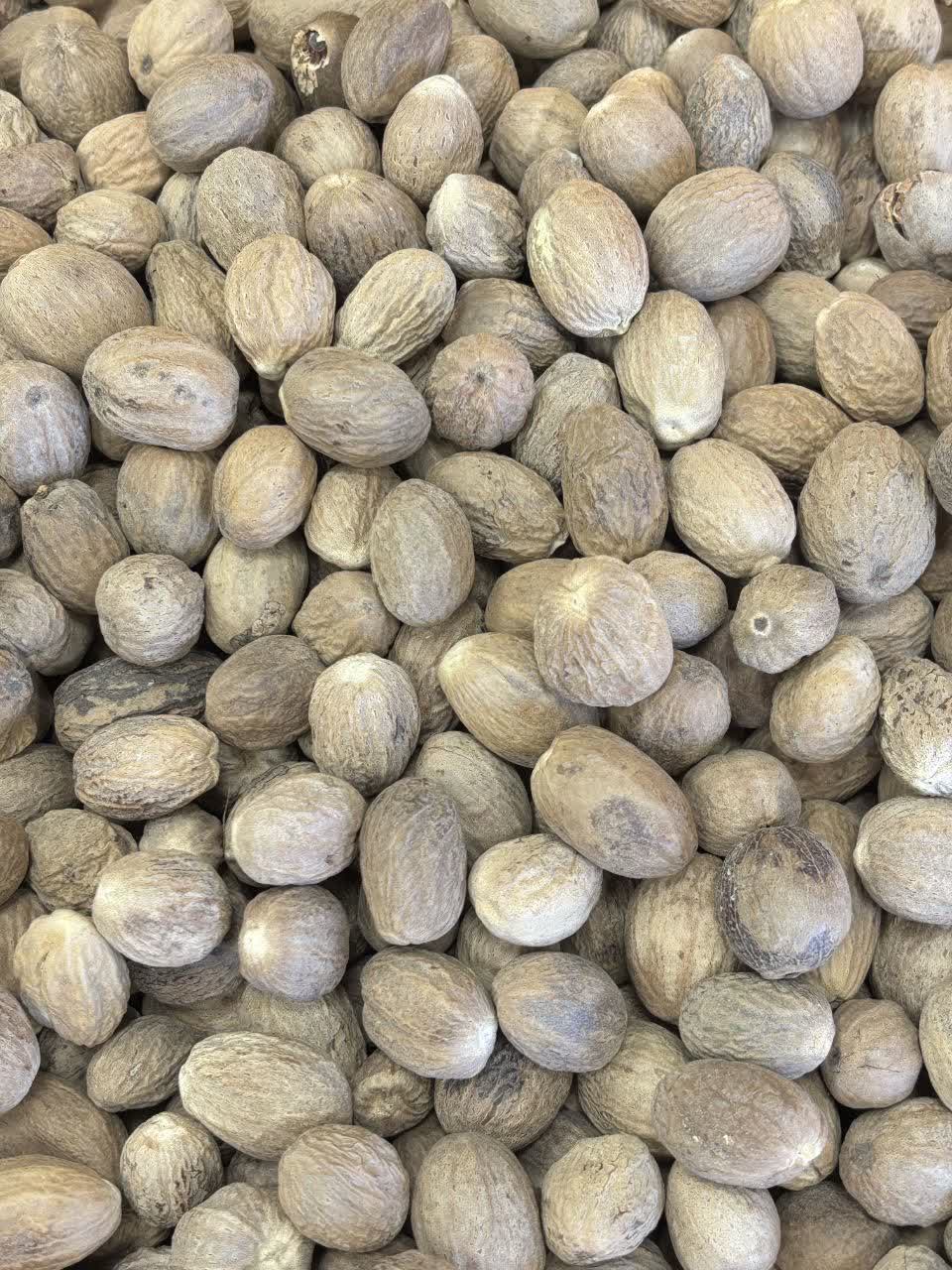 جوز هندی درجه یک و معطر،دانه کامل(۱کیلو)ارسال به سراسر کشور