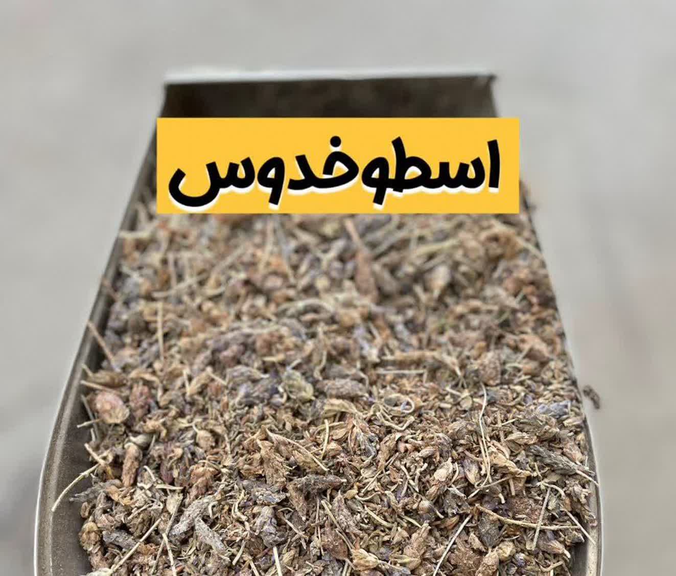 اسطوخودوس خشک اعلا | گل اسطوخودوس معطر(۱کیلویی)ارسال به سراسر کشور