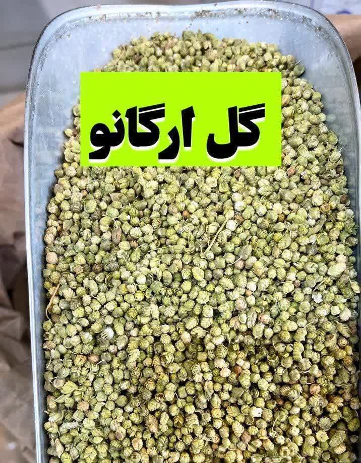 برگ گل ارگانو خشک | پونه کوهی معطر(۱کیلویی)ارسال به سراسر کشور