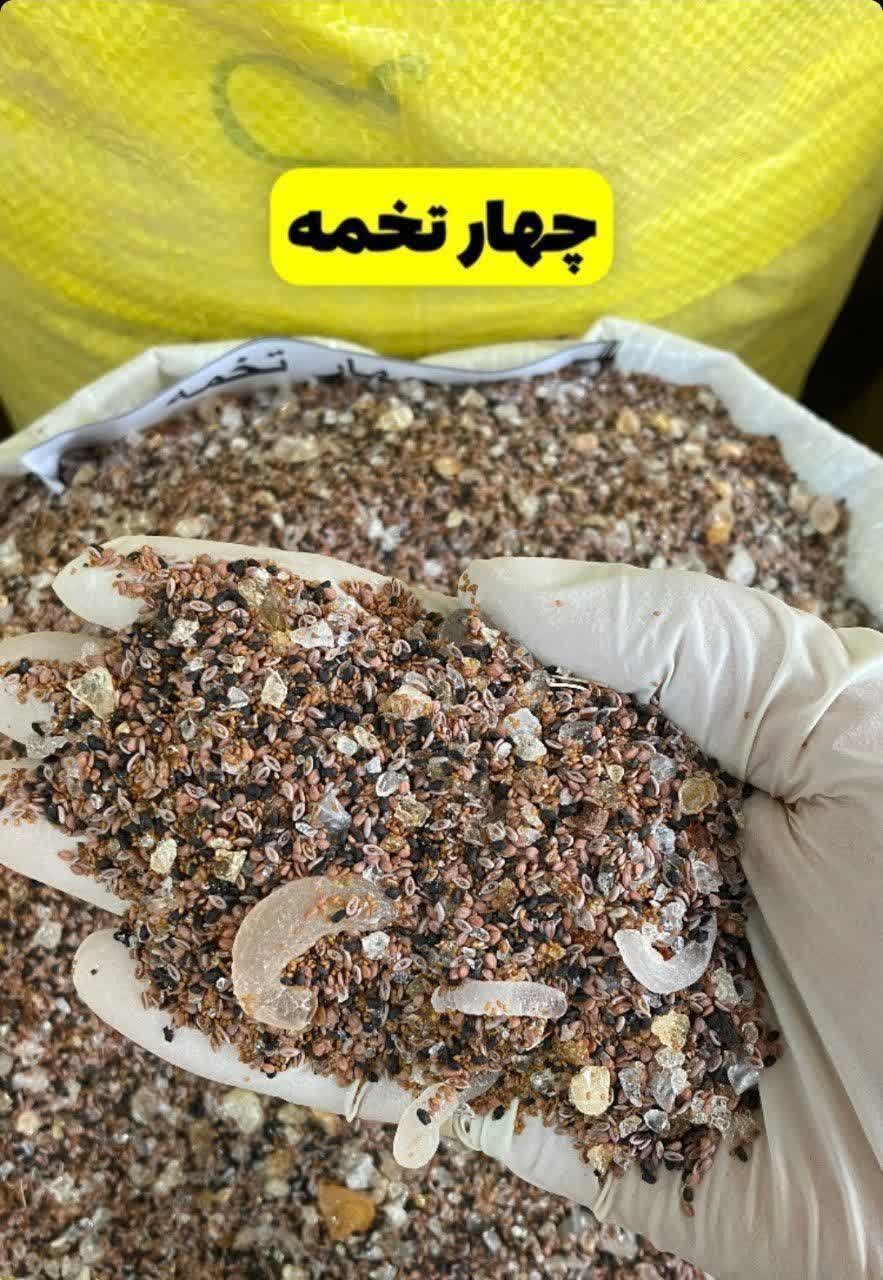 چهار تخمه(۱کیلویی)ارسال به سراسر کشور