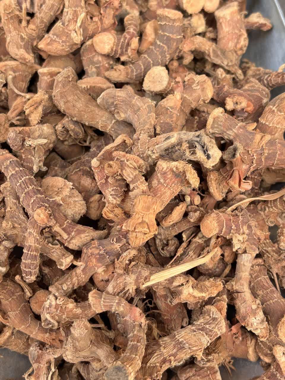 *قولنجان اعلا | ریشه گرم، معطر و درمانی،مشابه زنجبیل اما قوی‌تر(۱کیلویی)،ارسال به سراسر کشور