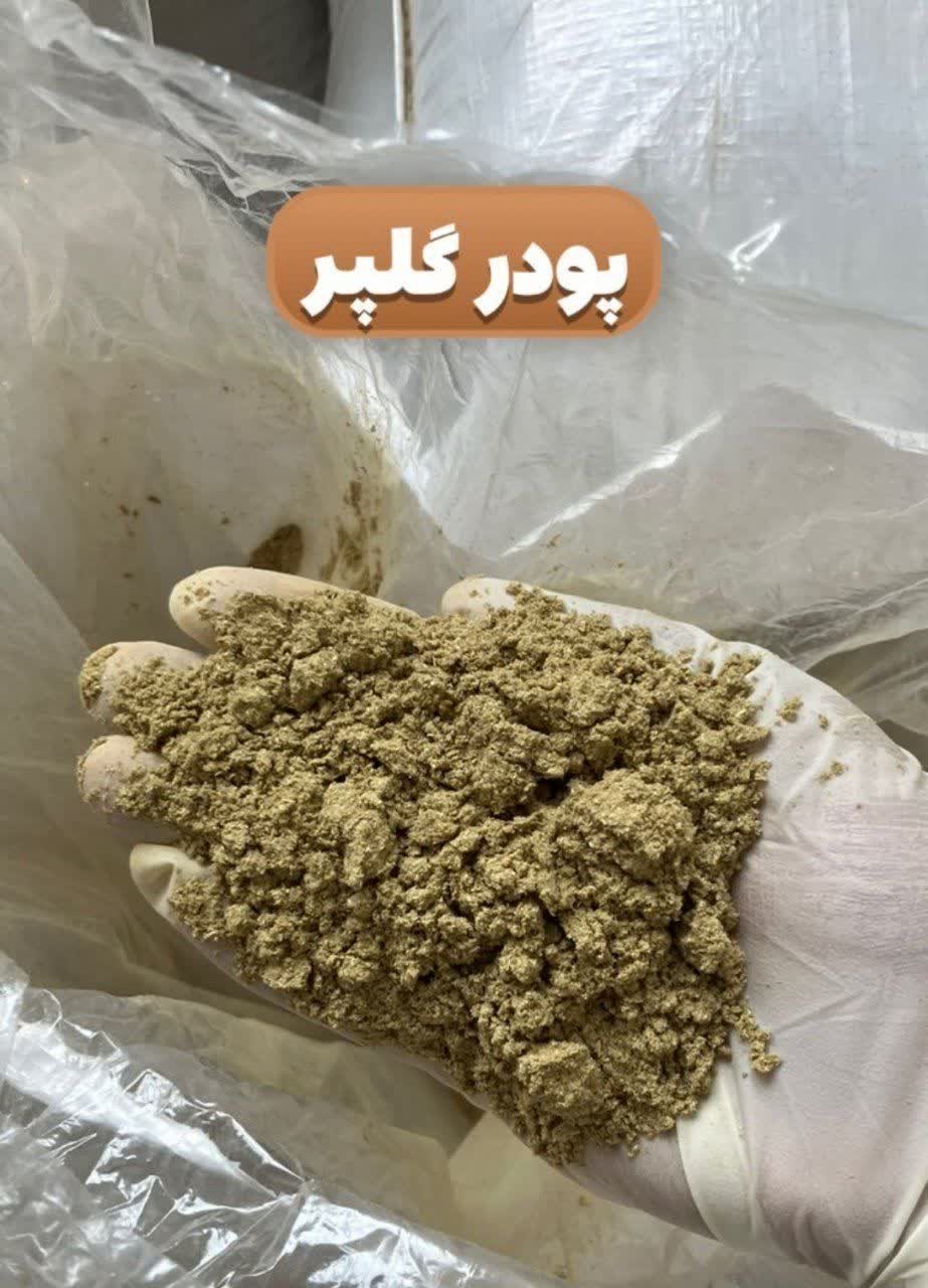 پودر گلپر افغانی اعلا | گلپر تازه آسیاب شده(۱کیلویی)ارسال به سراسر کشور