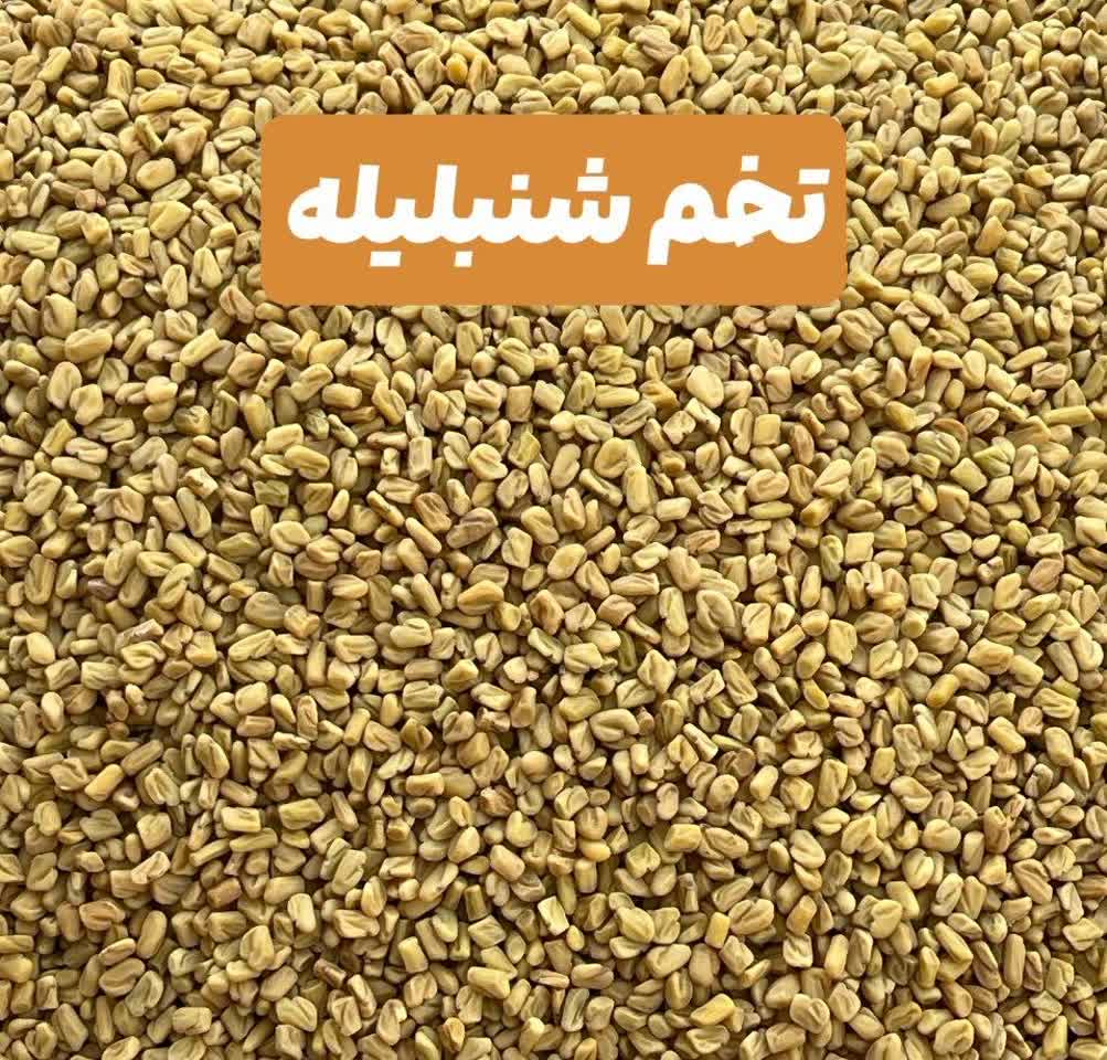 تخم شنبلیله اعلا | دانه شنبلیله طبیعی و خالص(۵کیلو)ارسال به سراسر کشور