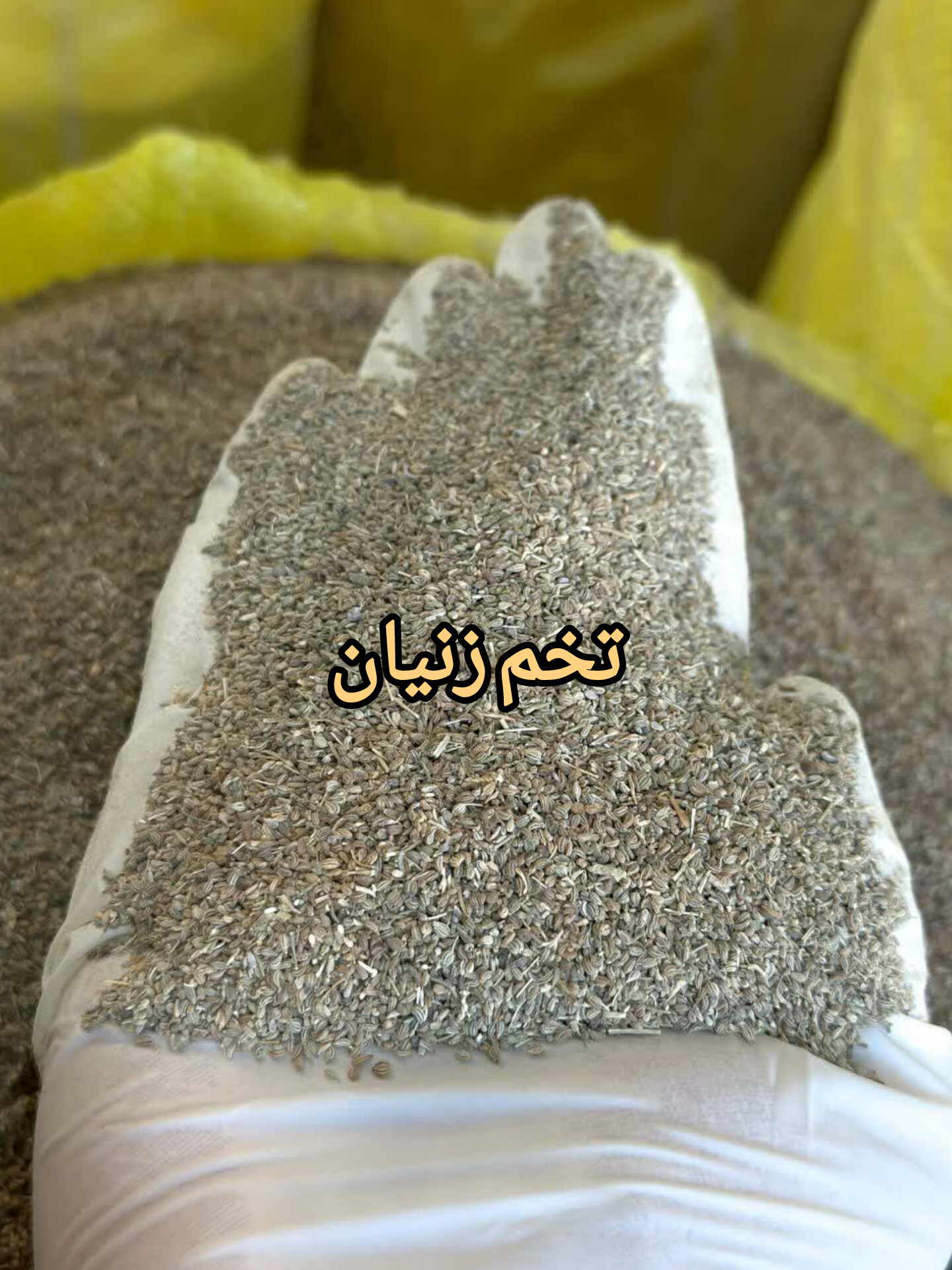 تخم زنیان اعلا | دانه زنیان معطر و طبیعی(۱کیلو)ارسال به سراسر کشور