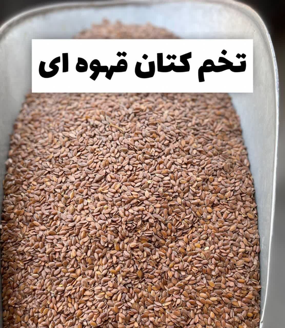 تخم کتان قهوه‌ای اعلا | بذر کتان طبیعی و تازه(۱کیلویی)ارسال به سراسر کشور