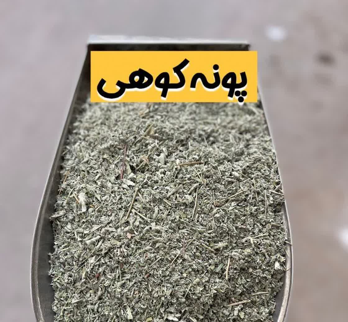 پونه کوهی سورت شده کردستان | پونه کوهی معطر کوهی(۱کیلویی)ارسال به سراسر کشور