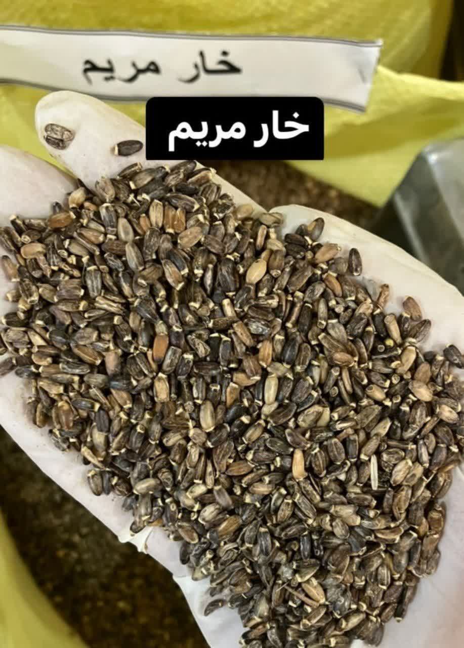 دانه خارمریم درجه یک بهاران - پاک‌کننده طبیعی کبد و آنتی‌اکسیدان قوی(۵کیلو)ارسال به سراسر کشور