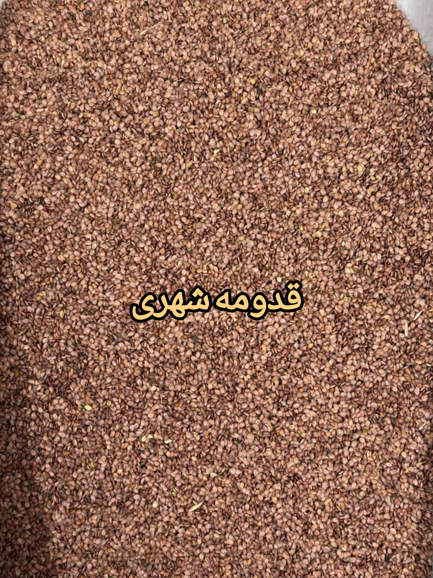 قدومه شهری اعلا | تخم قدومه شهری طبیعی(۱کیلویی)ارسال به سراسر کشور