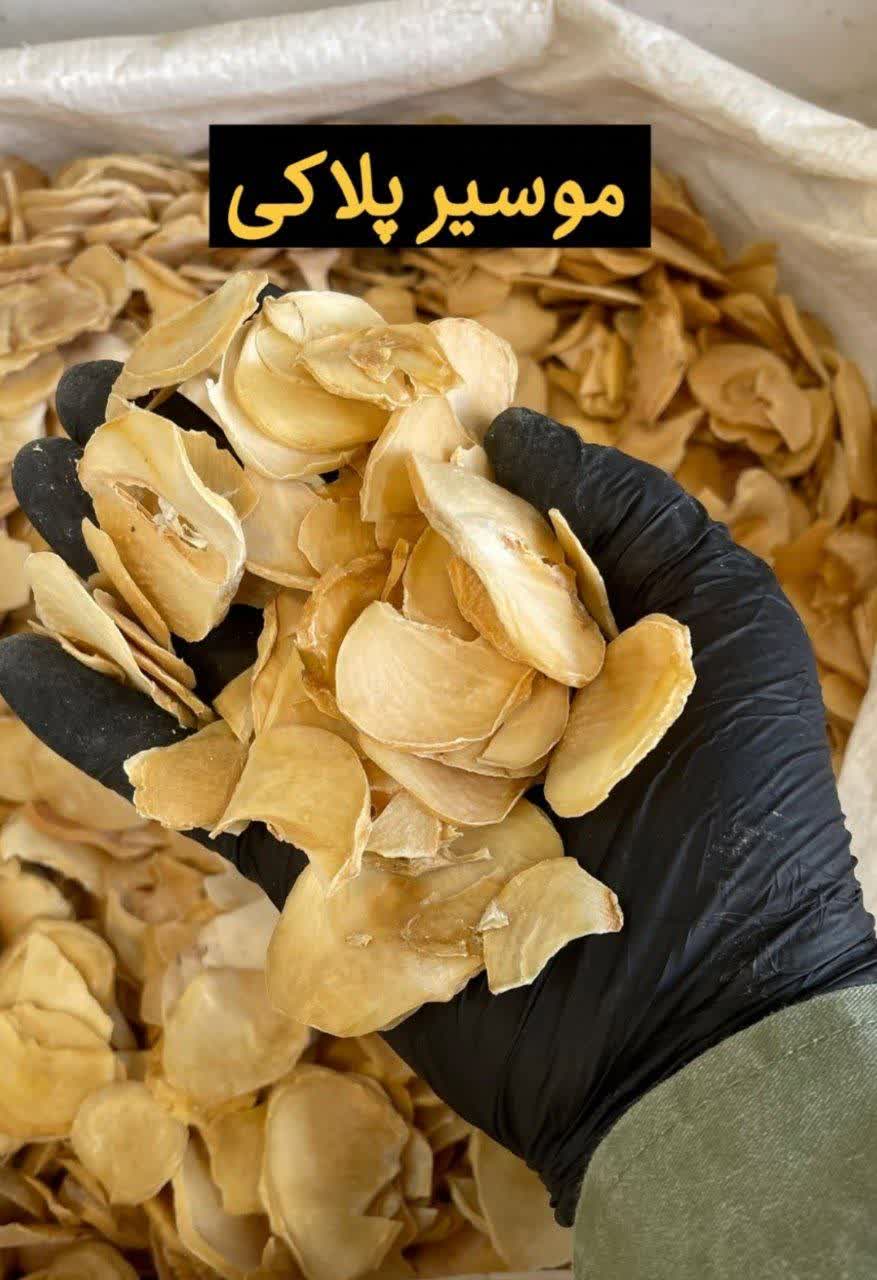 موسیر پلاکی (۱کیلویی)ارسال به سراسر کشور