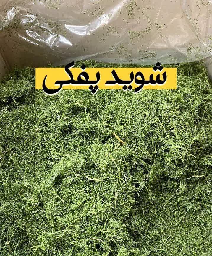 شوید خشک پفکی لوکس؛ عطر و رنگِ تازه در تمام فصول(۱کیلویی)ارسال به سراسر کشور