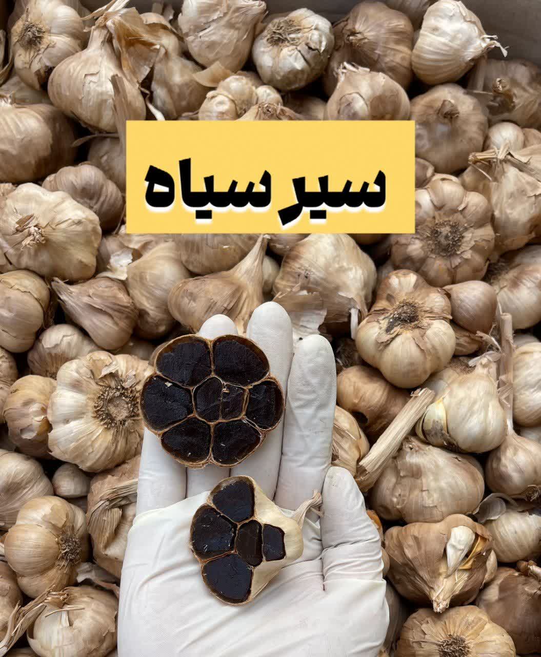 سیر سیاه اصل (۱کیلویی)ارسال به سراسر کشور
