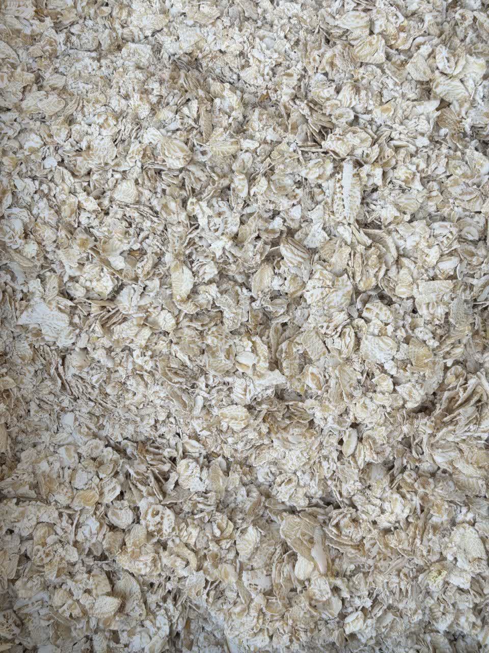 جو دو سر پرک زوات(۵کیلویی)ارسال به سراسر کشور
